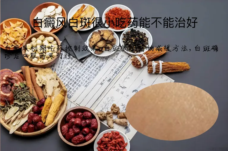 白癜风白斑很小吃药能不能治好