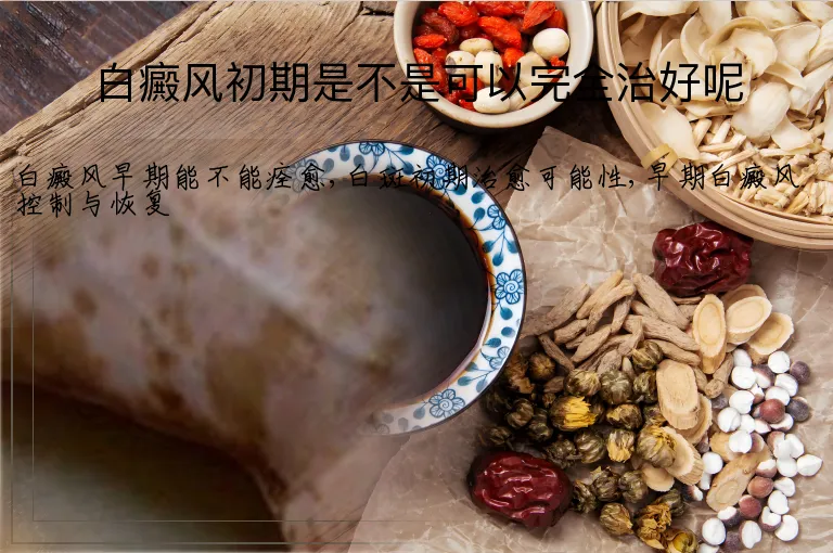 白癜风初期是不是可以完全治好呢